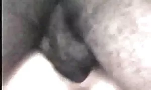 Jedan za dva člana. free young porno movies Pa magarac je dobio!